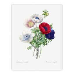 "Artery8 Anemone Flowers Botanical Redoute Vintage Wall Art Print Poster in White - Size: W24"" x H32""" - thumbnail 1