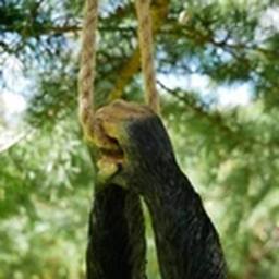 EONLION Monkey Garden Ornament Large Animal Statue Outdoor Decoration in Black - thumbnail 3