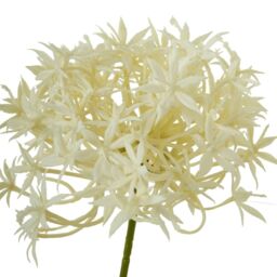Hill Interiors Triple Allium Spray Artificial Flower in Cream - thumbnail 2