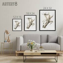 "Artery8 cockeyed squid illustration Carl Chun Framed Canvas Wall Art Print in White - Size: W12"" x H16""" - thumbnail 4