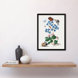Artery8 Soldanella Flower & Butterflies Bolton Framed Wall Art Print in White - Size: A4 - thumbnail 4
