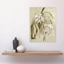 "Artery8 Frederick Sander Cymbidium Mastersi Orchid Flowers Wall Art Print - Size: W12"" x H16""" - thumbnail 4
