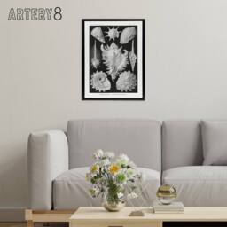 "Artery8 Sea Snail Shells Haeckel Botanical Black Framed Canvas Wall Art in White - Size: W12"" x H16""" - thumbnail 3
