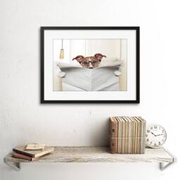 "Artery8 Photo Jack Russell Toilet Reading Newspaper 12x16"" Framed Art Print in White - Size: W12"" x H16""" - thumbnail 2
