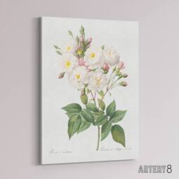 "Artery8 Noisette Rose Floral Redoute Vintage Canvas Wall Art in White - Size: W18"" x H24""" - thumbnail 2