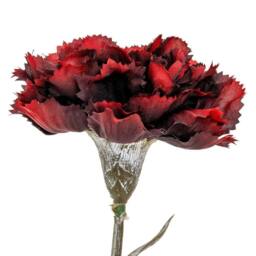 Lemon Pavilion Furniture and Decor Carnation Stem Artificial Flower - Plastic - L11xW10xH56 cm - Burgundy - thumbnail 2