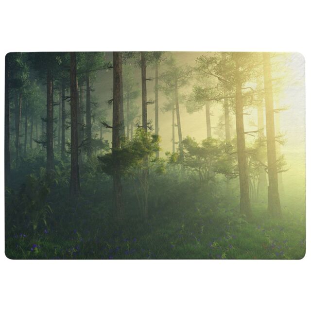 Benjamin Tate Design Sun, Trees In A Haze Of Light, Glowing Fog Among The Trees Designer Rug in Natural - Size: Large - image 1