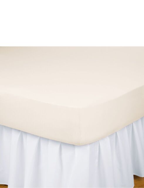Chums Soft Cotton Jersey Non Iron Fitted Sheets in Ecru - Size: Single