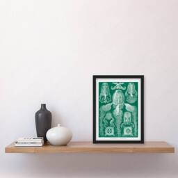 Artery8 Ernst Haeckel Framed Wall Art Print Cubomedusae Jellyfish Species in Green - Size: A4 - thumbnail 2