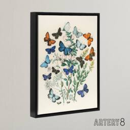"Artery8 Blue & Orange Butterflies Kirby Vintage Black Framed Canvas Wall Art in White - Size: W12"" x H16""" - thumbnail 2