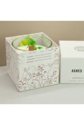 KDMD Agnes & Cat Botanical Soy Wax Candle Fellberry 350g in White - thumbnail 2