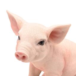 Naturecraft Sitting Pig in Pink - thumbnail 3