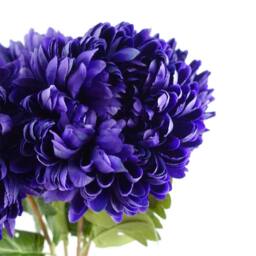 Leaf Pack of 6 x 75cm Artificial Extra Reflex Chrysanthemum Purple - Size: 6 x 75 cm - thumbnail 6