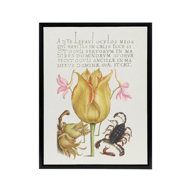 "Artery8 Larkspurs Tulip & Scorpion Calligraphy Framed Canvas Wall Art Print in White - Size: W12"" x H16""" - image 1