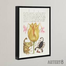 "Artery8 Larkspurs Tulip & Scorpion Calligraphy Framed Canvas Wall Art Print in White - Size: W12"" x H16""" - thumbnail 2