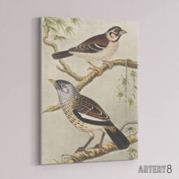 "Artery8 Two Birds on Tree Branches Canvas Wall Art Print van Hoytema - Size: W18"" x H24""" - thumbnail 2