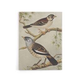 "Artery8 Two Birds on Tree Branches Canvas Wall Art Print van Hoytema - Size: W18"" x H24""" - thumbnail 1