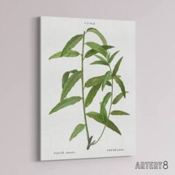 "Artery8 Basket Willow Botanical Redoute Vintage Canvas Wall Art in White - Size: W18"" x H24""" - thumbnail 2