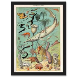 Artery8 Millot Encyclopedia vintage Ocean Fish Shark Prawns Nature Artwork Framed Wall Art Print A4 in Black - thumbnail 1