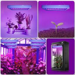 Ventryn White Tent LED Grow Lamp 2000W Full Spectrum Indoor Veg Flower - thumbnail 3