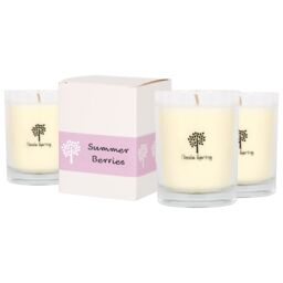 Nicola Spring 3x 160g Soy Wax Scented Candles - Summer Berries Aromatherapy Jar Candle in Clear