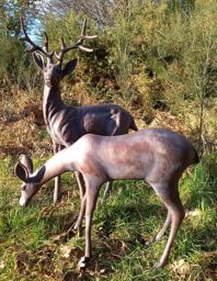 Inspirational Gifting Extra Large Stag & Doe Deer Sculptures Garden Ornaments in Bronze - thumbnail 2