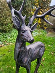Inspirational Gifting Extra Large Stag & Doe Deer Sculptures Garden Ornaments in Bronze - thumbnail 6