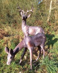 Inspirational Gifting Extra Large Stag & Doe Deer Sculptures Garden Ornaments in Bronze - thumbnail 5