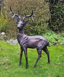Inspirational Gifting Extra Large Stag & Doe Deer Sculptures Garden Ornaments in Bronze - thumbnail 3