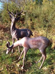 Inspirational Gifting Extra Large Stag & Doe Deer Sculptures Garden Ornaments in Bronze - thumbnail 1