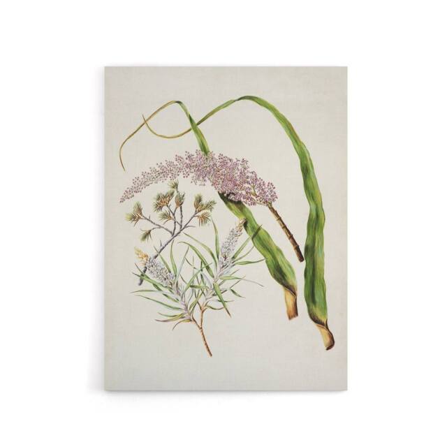 "Artery8 Totorowhiti Turpentine Scrub Flowers Featon Canvas Wall Art Print in Beige - Size: W18"" x H24""" - image 1
