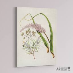 "Artery8 Totorowhiti Turpentine Scrub Flowers Featon Canvas Wall Art Print in Beige - Size: W18"" x H24""" - thumbnail 2