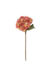 KDMD Balmoral Hydrangea Orange 45cm 2 Pack in Pink - thumbnail 7