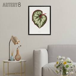 "Artery8 AF Lydon Benjamin Fawcett Begonia Rex Leaf Framed Canvas Art Print in White - Size: W12"" x H16""" - thumbnail 3