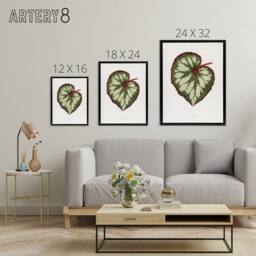 "Artery8 AF Lydon Benjamin Fawcett Begonia Rex Leaf Framed Canvas Art Print in White - Size: W12"" x H16""" - thumbnail 4