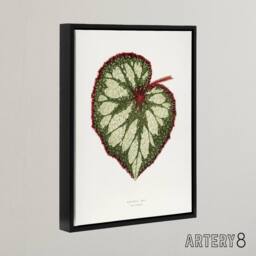 "Artery8 AF Lydon Benjamin Fawcett Begonia Rex Leaf Framed Canvas Art Print in White - Size: W12"" x H16""" - thumbnail 2