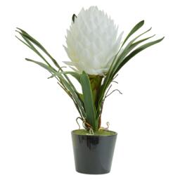 Fiori White Tropical Plant, Faux White Tropical Plant