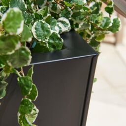 Primrose Black Flared Tapered Outdoor Planter Zinc Galvanised Pot 116cm x 52cm - Size: 116 cm x 52 cm - thumbnail 3