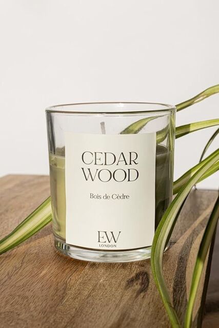 Marco Paul Cedarwood Strong Scented Candle Jar Candle Home Fragrance in Green - image 1