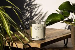 Marco Paul Cedarwood Strong Scented Candle Jar Candle Home Fragrance in Green - thumbnail 2