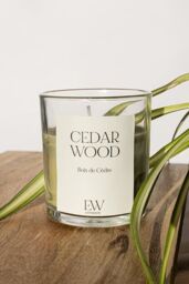 Marco Paul Cedarwood Strong Scented Candle Jar Candle Home Fragrance in Green - thumbnail 1