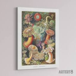 "Artery8 Sea Anemone Marine Landscape Haeckel Botanical Canvas Wall Art - Size: W18"" x H24""" - thumbnail 2