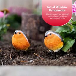 Marco Paul Robin Red breast Resin 2pc Bird Set Garden Ornament in Brown - thumbnail 5