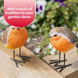 Marco Paul Robin Red breast Resin 2pc Bird Set Garden Ornament in Brown - thumbnail 7
