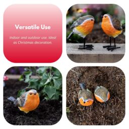 Marco Paul Robin Red breast Resin 2pc Bird Set Garden Ornament in Brown - thumbnail 6