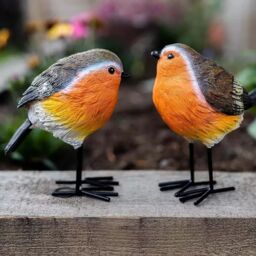 Marco Paul Robin Red breast Resin 2pc Bird Set Garden Ornament in Brown - thumbnail 1