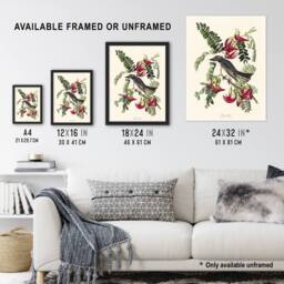 "Artery8 Birds of America Piping Flycatcher Audubon Wall Art Print Poster in White - Size: W18"" x H24""" - thumbnail 3