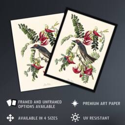 "Artery8 Birds of America Piping Flycatcher Audubon Wall Art Print Poster in White - Size: W18"" x H24""" - thumbnail 2