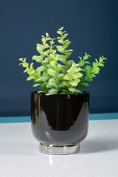 Orsina Callie Black Small Planter With Silver Finish Base - thumbnail 2