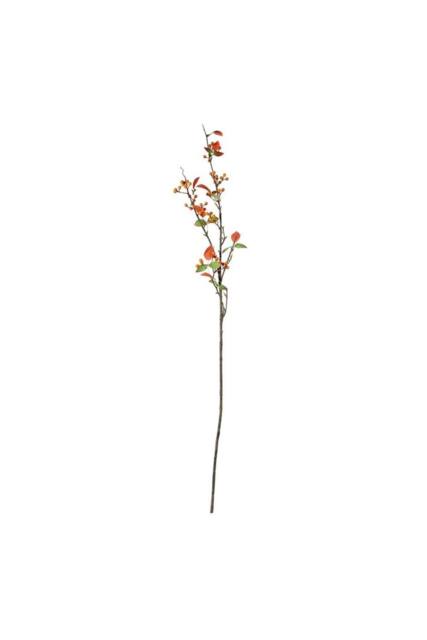 KDMD Glamis Orange Berry Spray 108cm - image 1